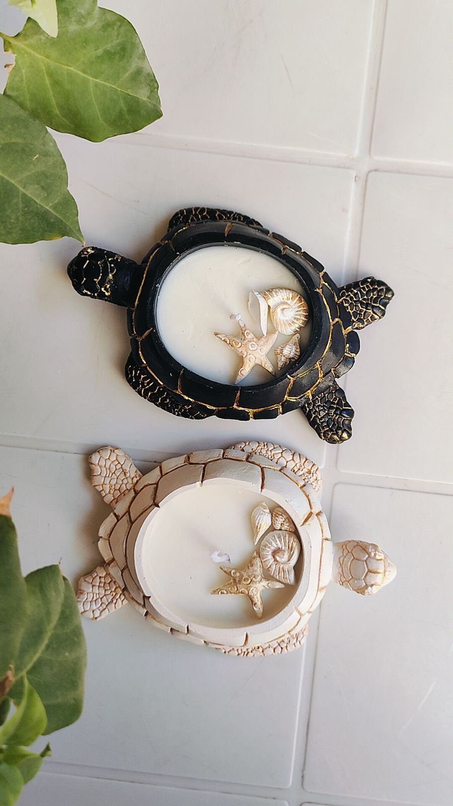 شمعة السلحفاة معطرة — صورة 2 من 4