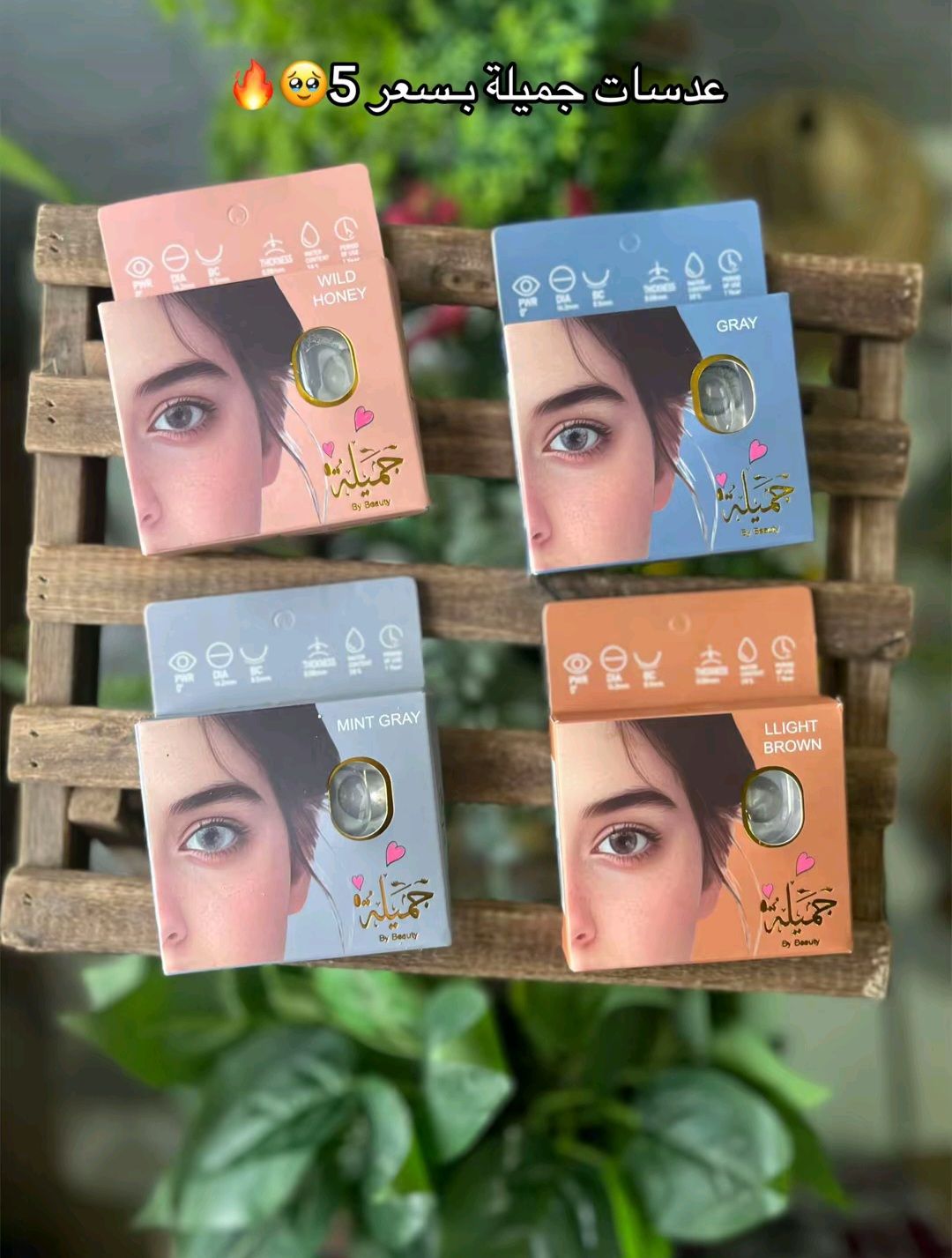 عدسات سنويه