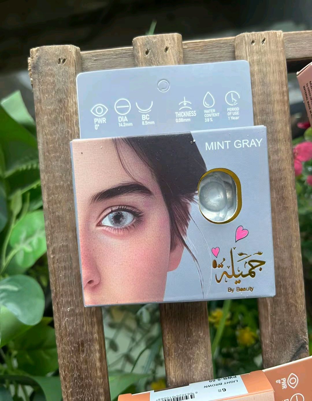 عدسات سنويه — صورة 3 من 5