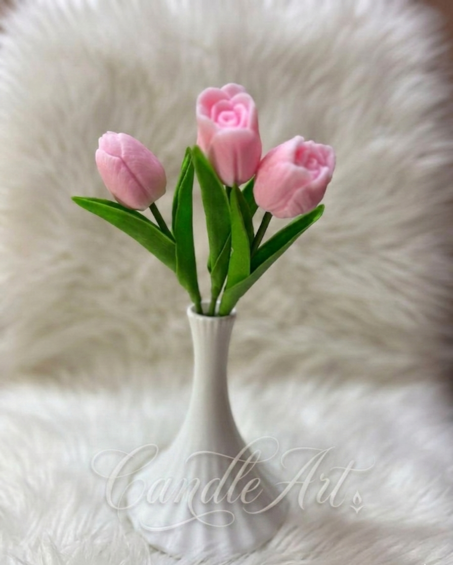 شمع — صورة 5 من 5