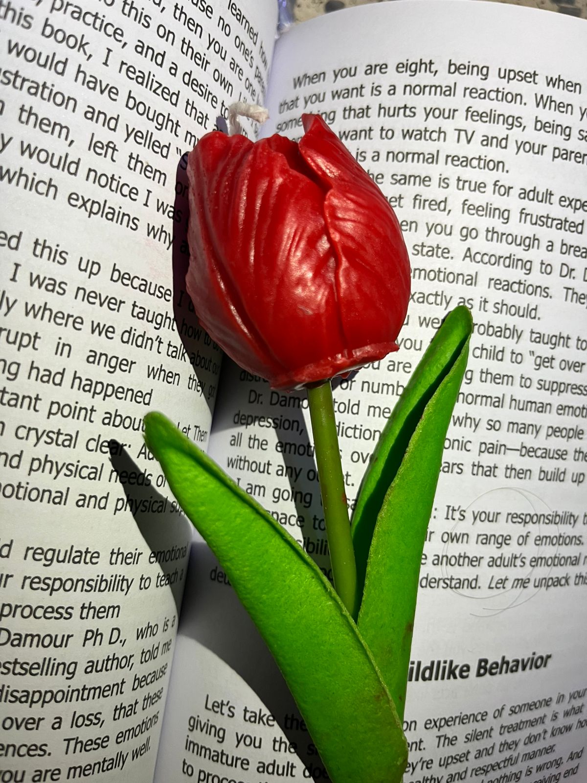 شمع — صورة 2 من 5