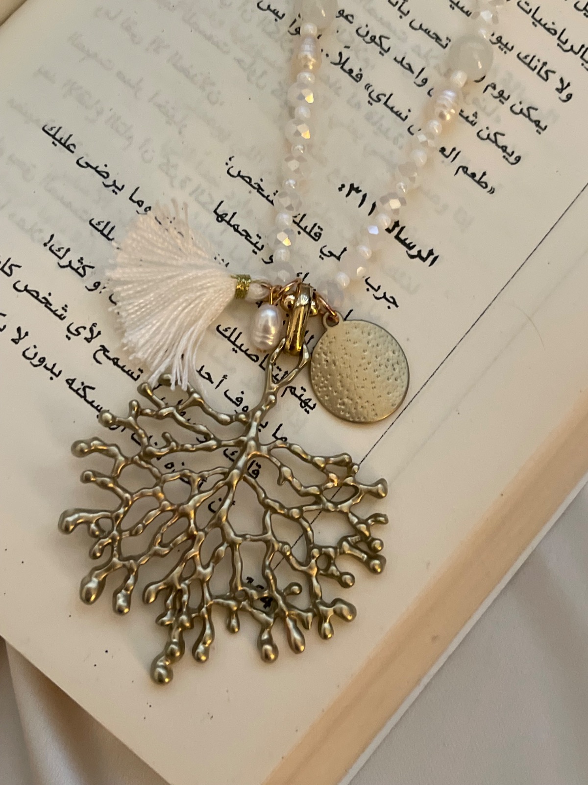 اكسسوارات — صورة 2 من 3
