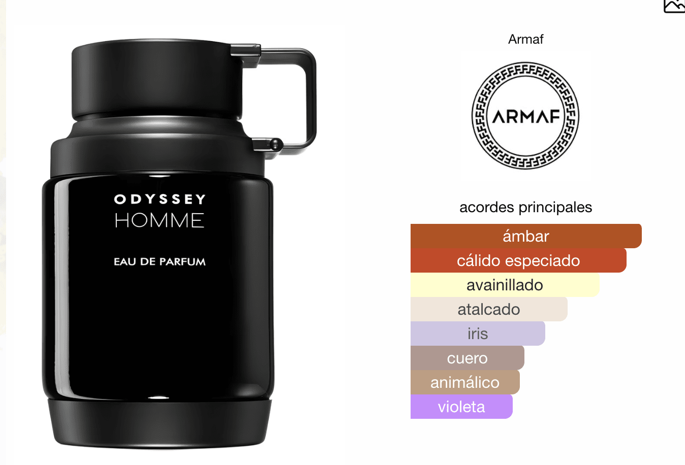 Odyssey Homme Black – أوديسي هوم الأسود — صورة 3 من 6
