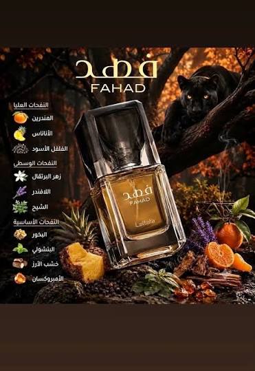 Fahad – فهد من لطافة — صورة 5 من 7