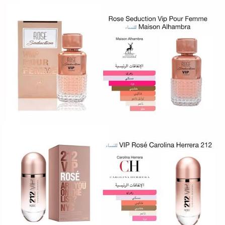 Rose Seduction VIP – VIP Rose من ميسون الهامبرا — صورة 7 من 8