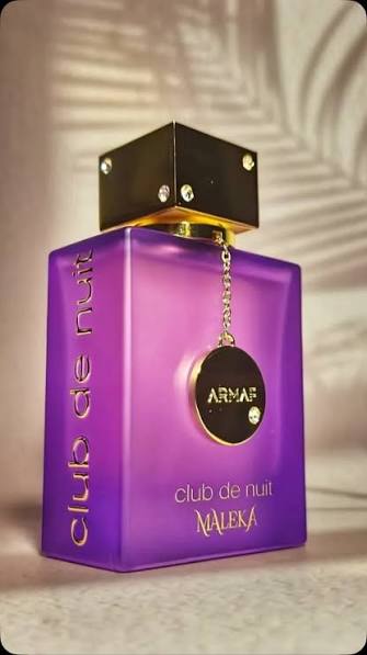 Club de Nuit Maleka – كلوب دي نايت ماليكا — صورة 3 من 5