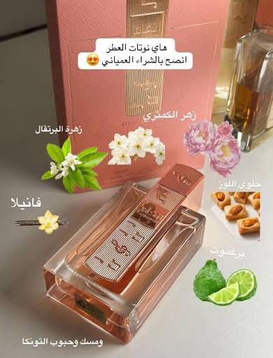Angham Second Song – انغام الوردي — صورة 4 من 4
