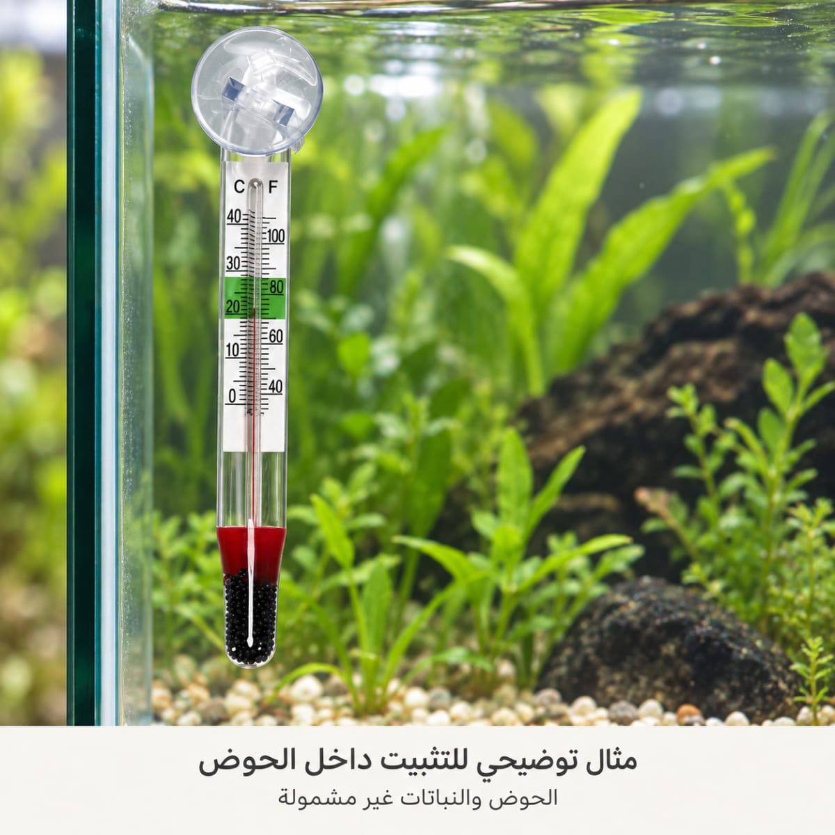 ميزان حرارة عريض للأحواض — سهل القراءة — صورة 3 من 3