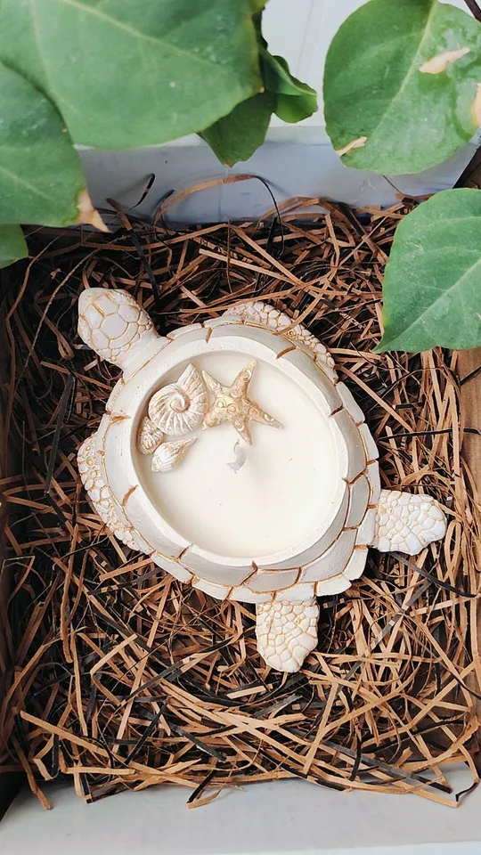 شمعة السلحفاة معطرة